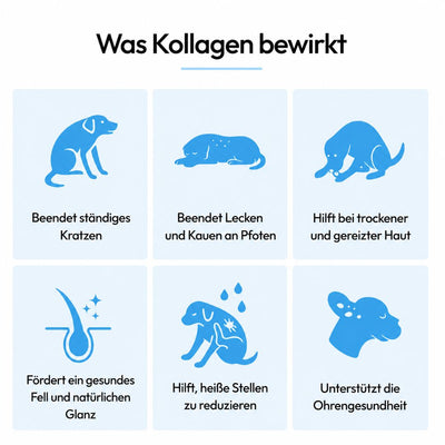 CanWohl Premium Flüssig-Kollagen