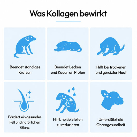 CanWohl Premium Flüssig-Kollagen